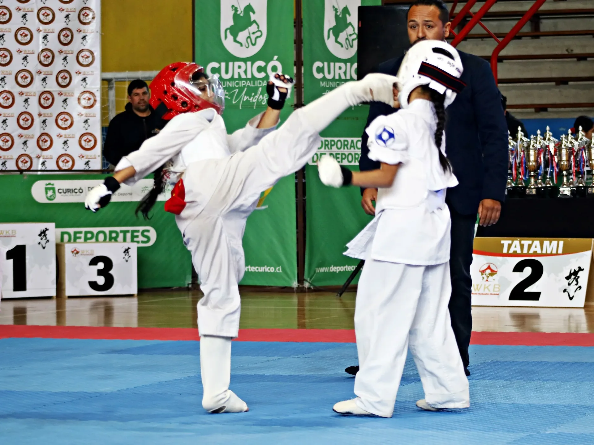 El Kyokushin en Chile: de 1975 a hoy