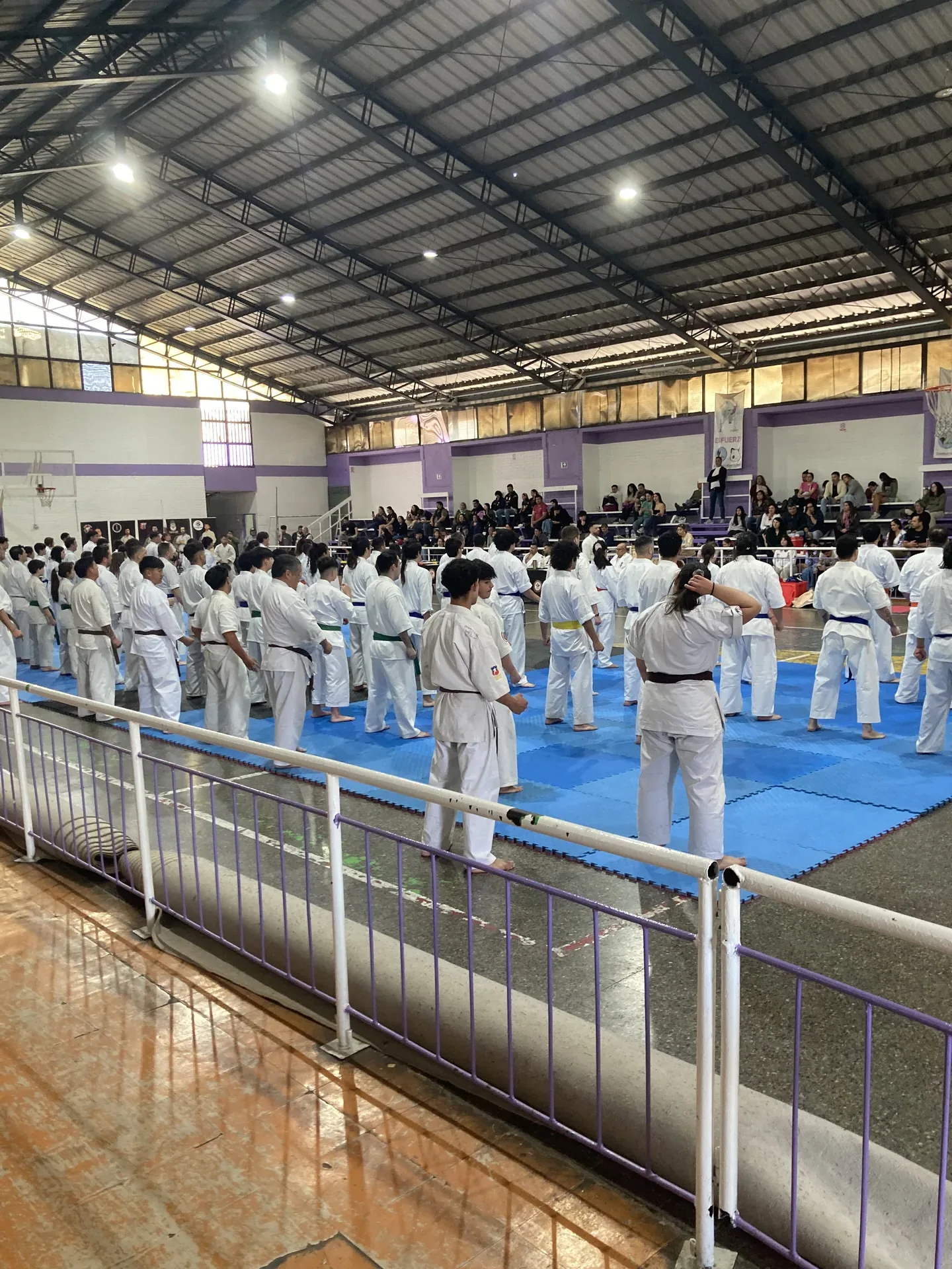 Pase de grados Kyokushin — Septiembre 2025 — foto 4