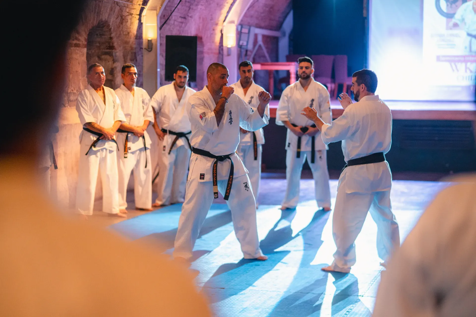 Seminario con Shihan Daniel Sánchez — foto 14