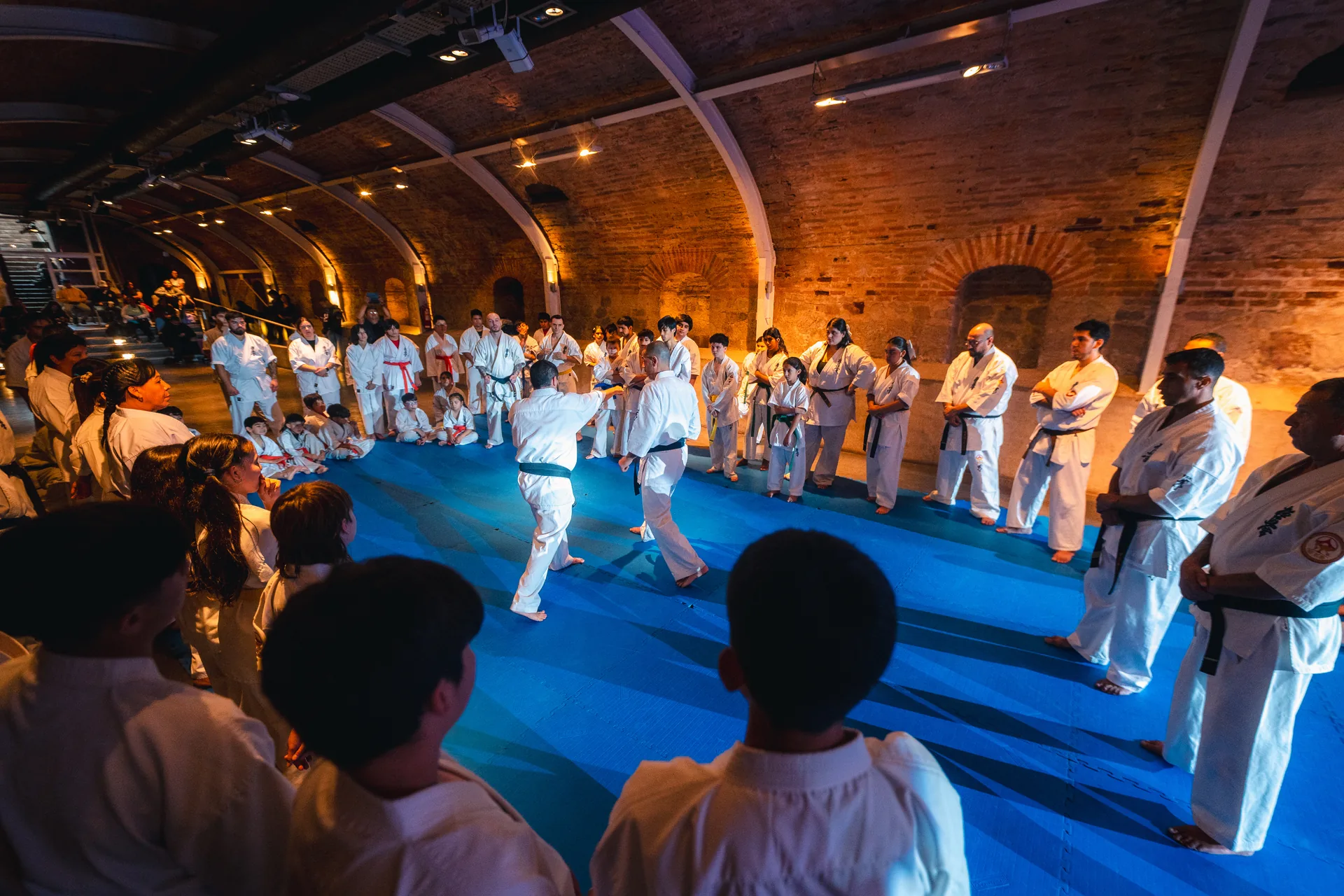 Seminario con Shihan Daniel Sánchez — foto 17