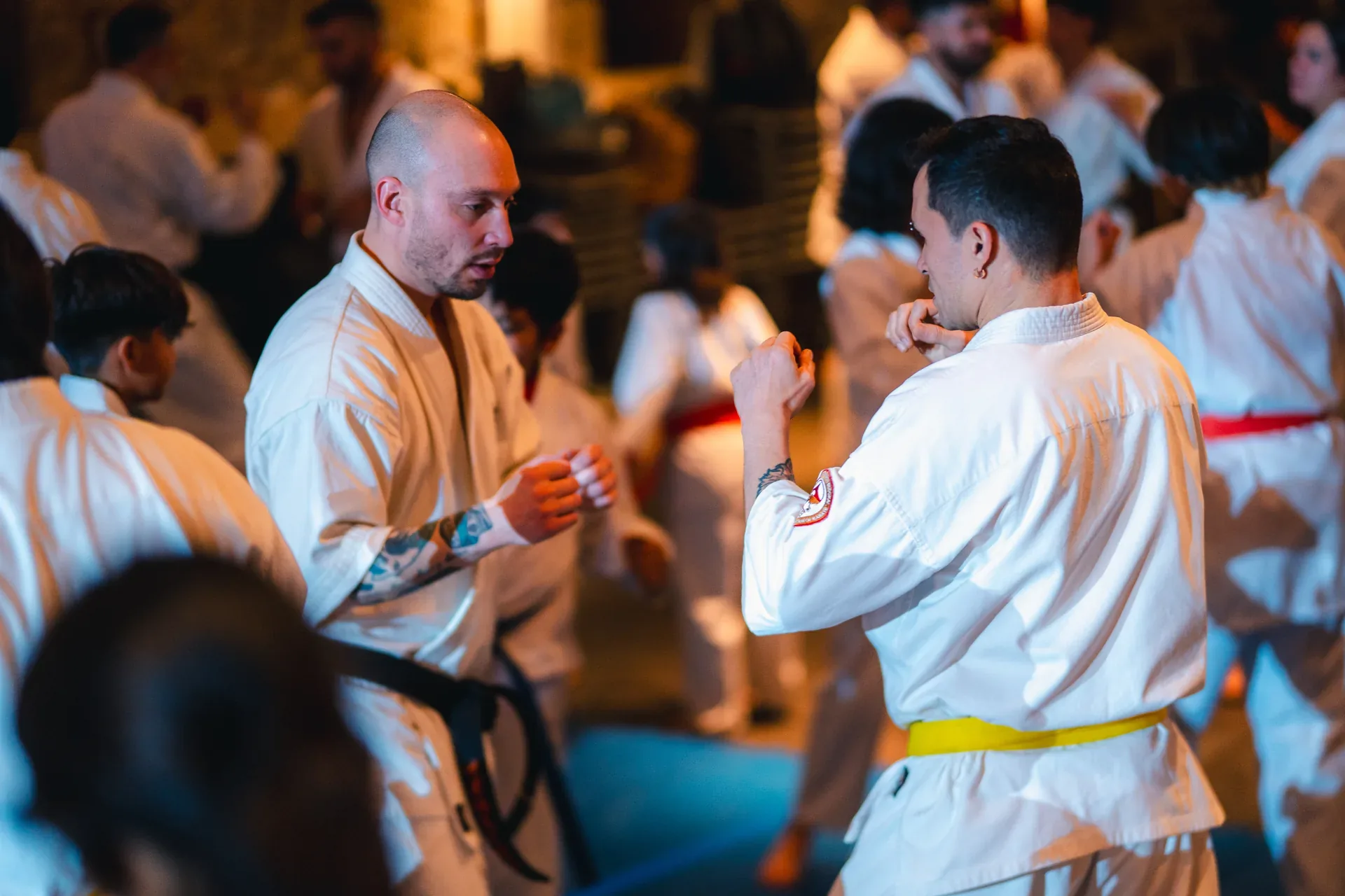 Seminario con Shihan Daniel Sánchez — foto 18