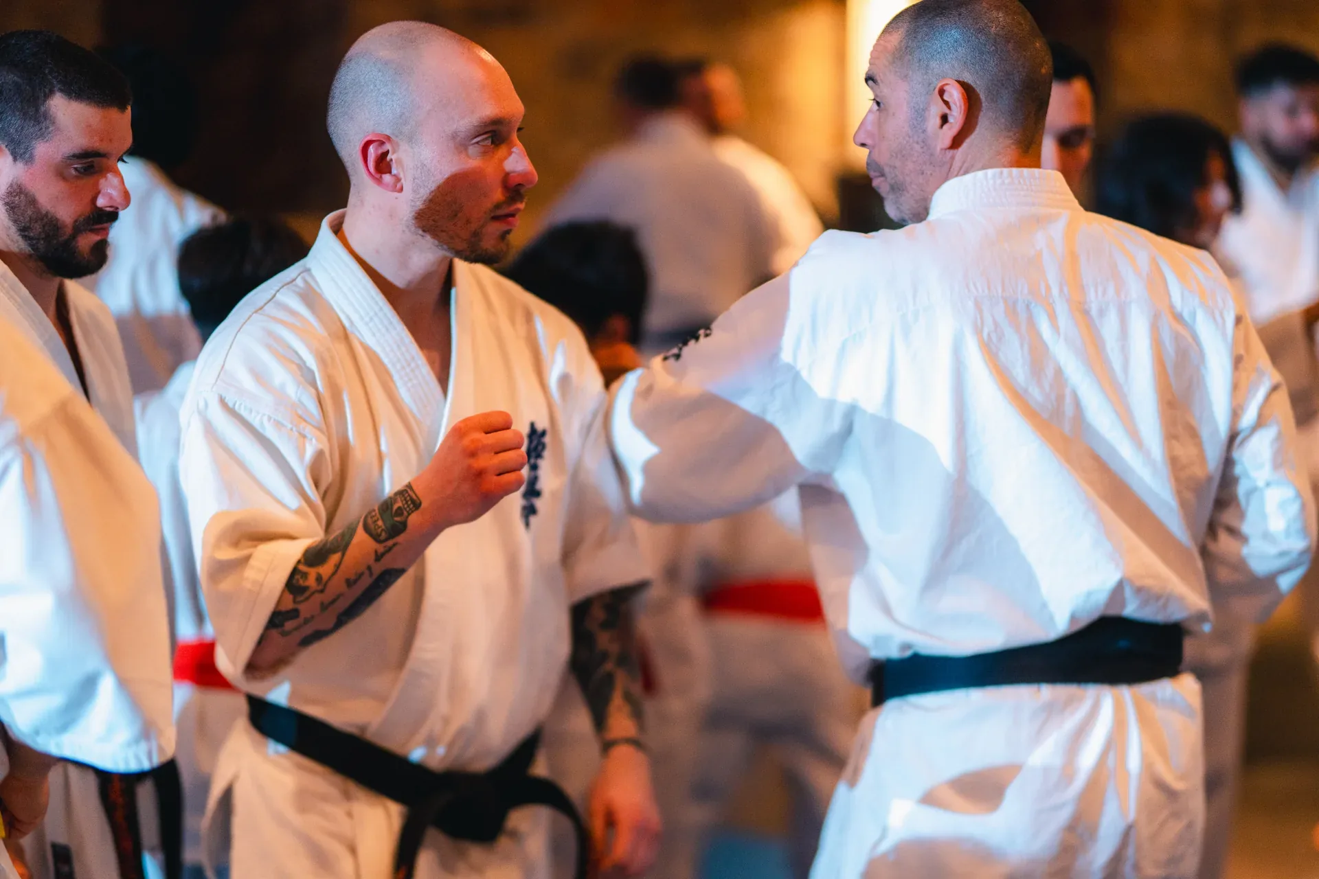 Seminario con Shihan Daniel Sánchez — foto 20