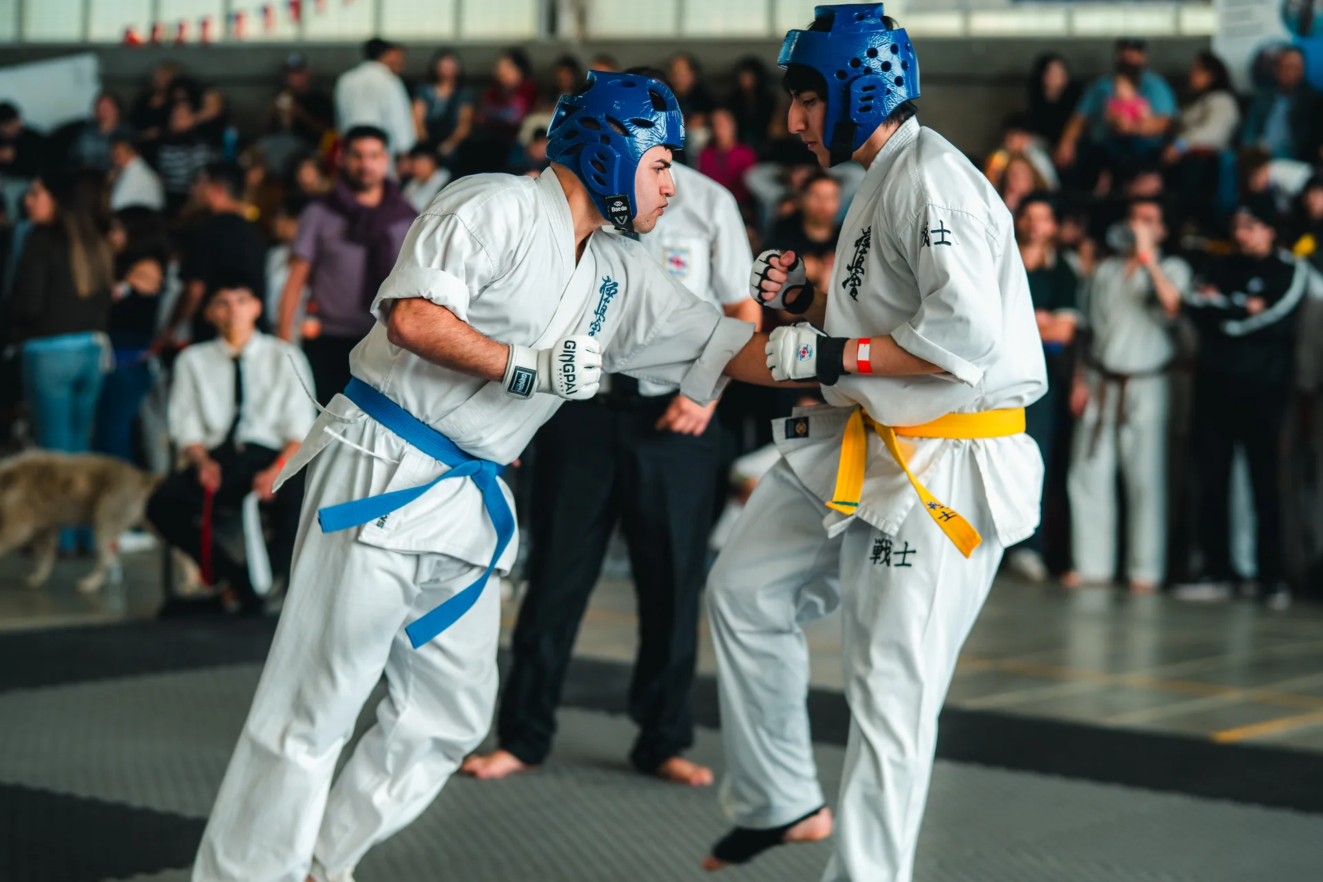 3er Torneo Dageki / KWU Senshi Zona Centro — foto 24