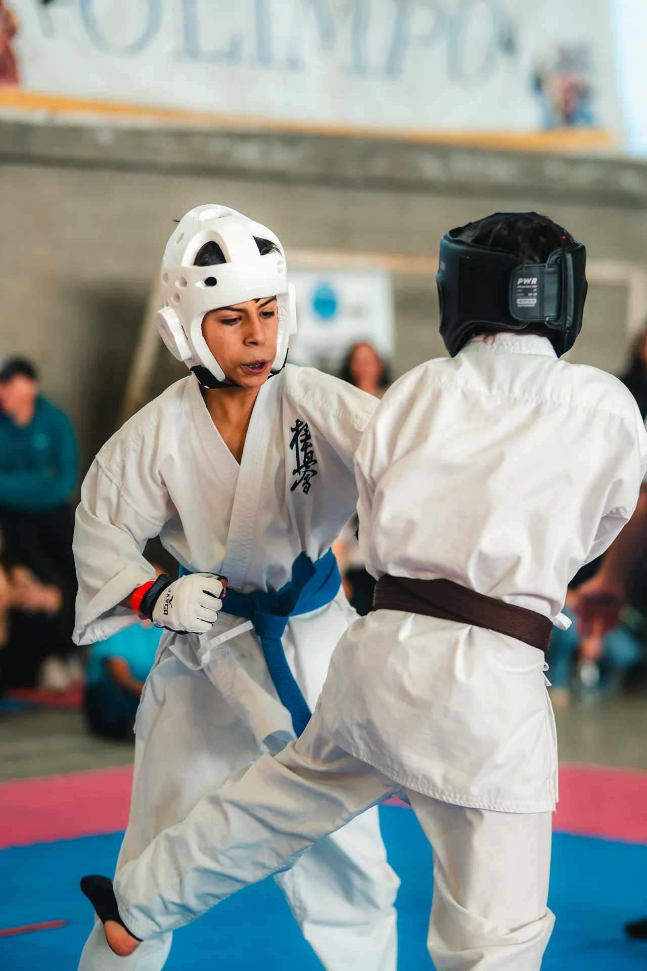 3er Torneo Dageki / KWU Senshi Zona Centro — foto 36