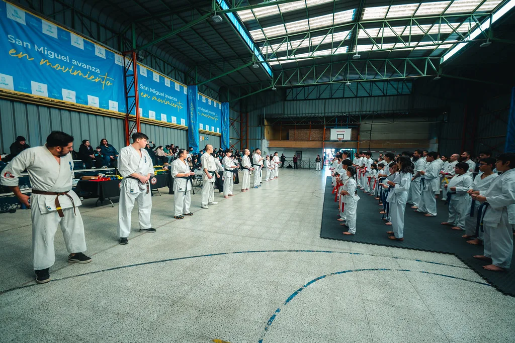 Karate Kyokushin — foto 3